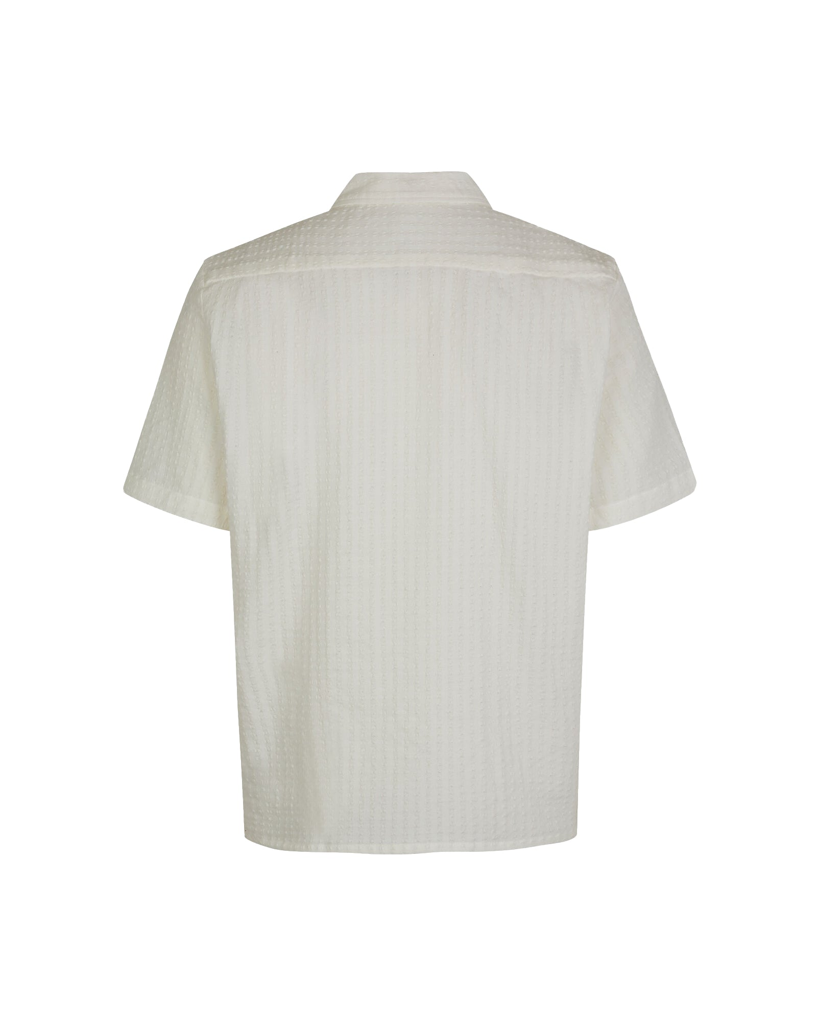 Avan JX 14698 Shirt - White